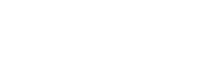 Petelin Vision logo